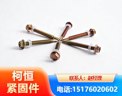 陇南六角钻尾丝