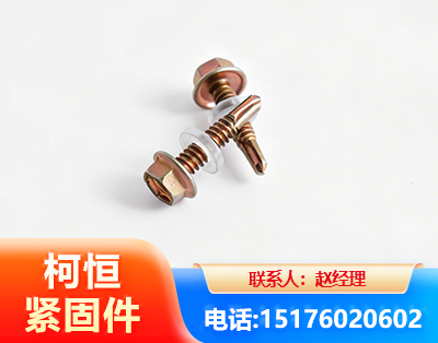 陇南六角钻尾丝